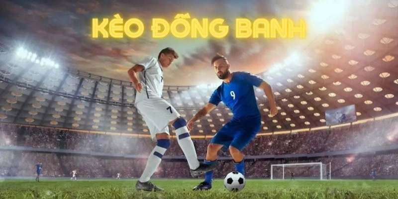 Kèo đồng banh được nhiều bet thủ yêu thích